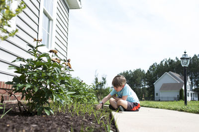 Boy examining plants in backyard against clear sky during sunny day