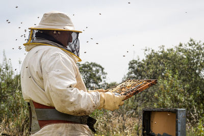 Rural and natural beekeeper, working to collect honey from hives