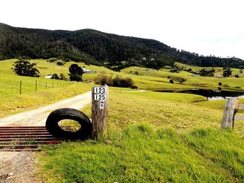 Scenic view of grassy field