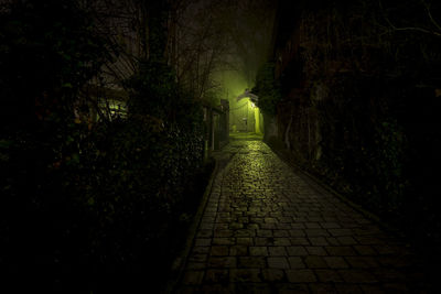 Illuminated walkway amidst trees at night