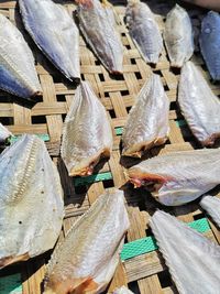 High angle view of fish for sale in market