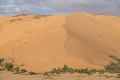 Scenic view of desert against sky