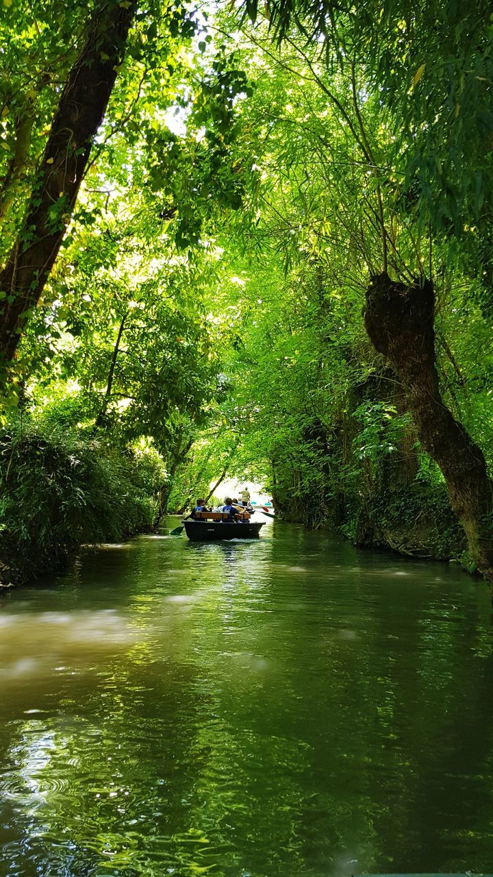 BOAT IN RIVER AMIDST TREES IN FOREST