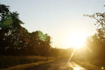 Road amidst trees against sky during sunset