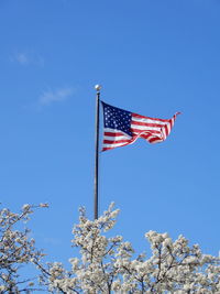 Low angle view of us  flag against clear blue sky over trees 