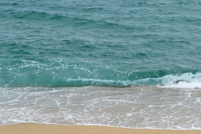 Scenic view of beach