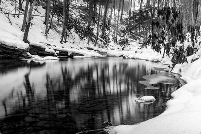 Scenic view of frozen lake