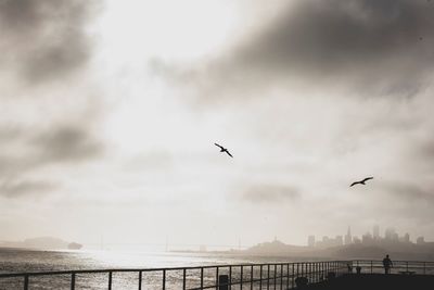 Birds flying over lake against sky