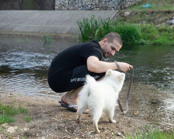 animal