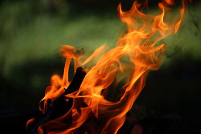 Close-up of bonfire at night