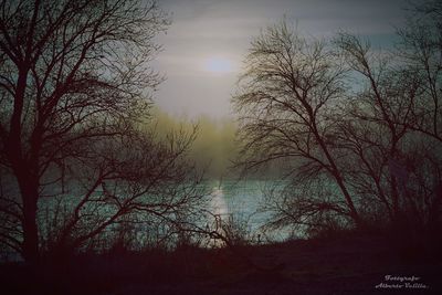 Silhouette bare trees against sky during sunset