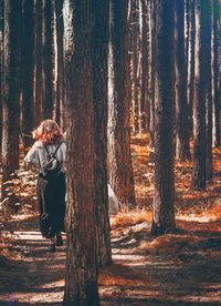 Rear view of woman standing amidst trees in forest