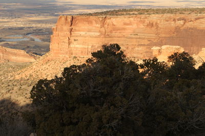 View of trees on landscape