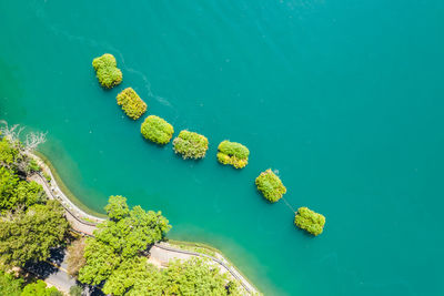High angle view of leaves in sea