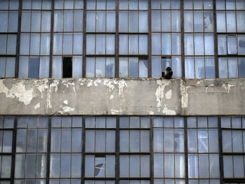 Broken windows in an abandoned industrial building