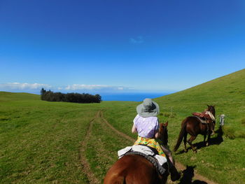 Horses grazing on field against clear blue sky
