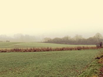 Scenic view of field against clear sky