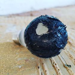 High angle view of shell on table