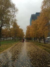 Man walking in park during autumn