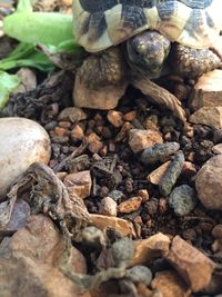 Full frame shot of logs