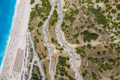 High angle view of road amidst trees