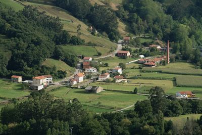 High angle view of agricultural field