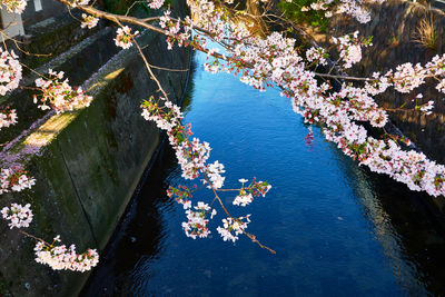 High angle view of boats in river