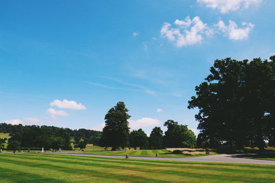 Trees on field against sky