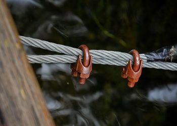 Close-up of water on wood