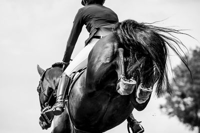 Man riding horse