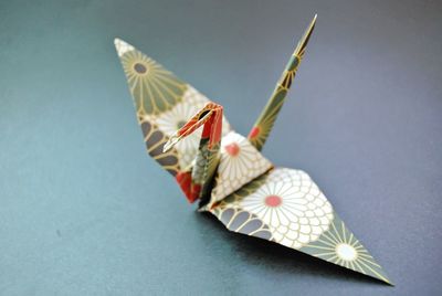 Close-up of butterfly on leaf over white background