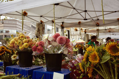 Bouquet of dahlia and sunflowers at a farmers market in copley square, boston, massachusetts 
