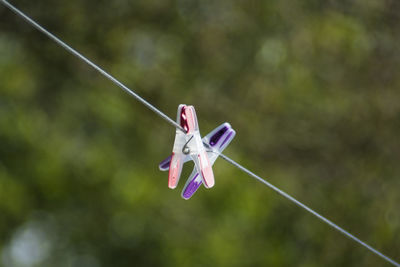 Close-up of plastic clothespins hanging on rope