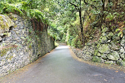 Empty road along trees in park