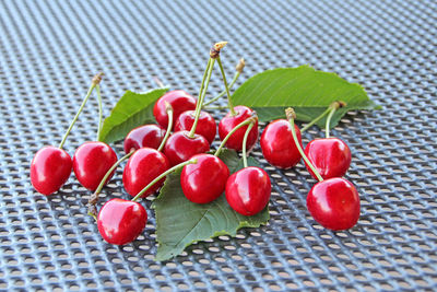 Close-up of berries