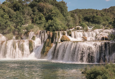 Scenic view of waterfall in forest