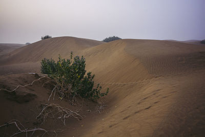 Scenic view of desert against sky