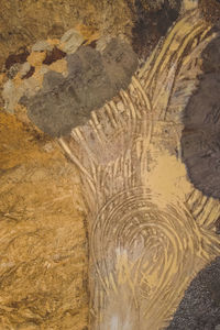 High angle view of puddle