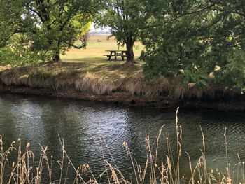 Scenic view of lake in forest