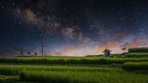 Scenic view of field against sky at night