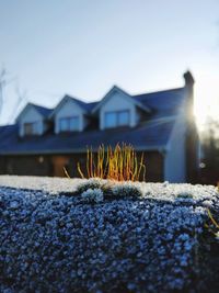 Close-up of snow on house against sky