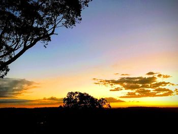 Silhouette trees on field against sky during sunset