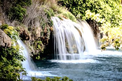 Scenic view of waterfall in forest