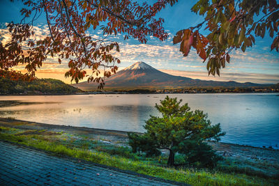 Scenic view of lake by trees against sky