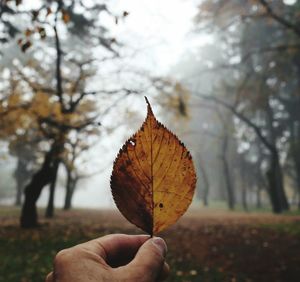 Close-up of hand holding autumn leaf