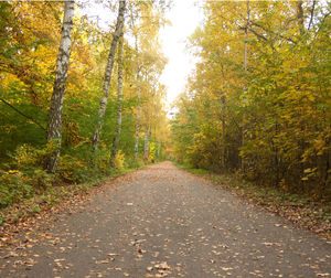 Street amidst trees during autumn