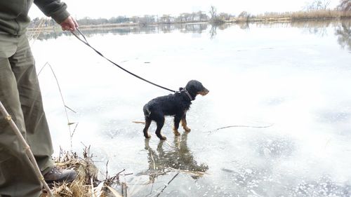 Man holding dog in water