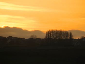 Silhouette trees on field against orange sky