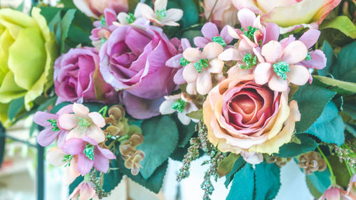 Close-up of pink roses