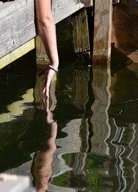 Low section of person in lake